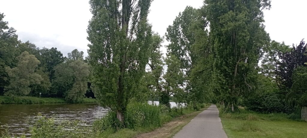 cyklostezka Poděbrady - Nymburk